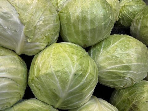 Close up of fresh green leafy vegetables, conceptually illustrating agricultural food safety warnings, grocery recalls, and cyclospora outbreaks
