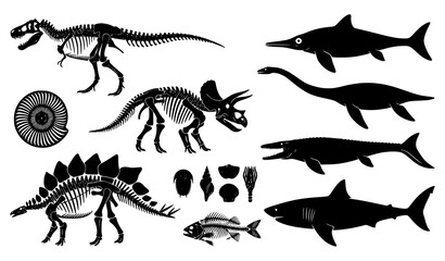 Prehistoric Fossil Skeleton and Marine Reptile Vector Collection EPS © Rasme