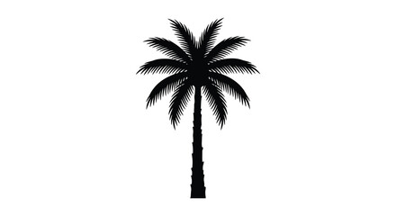 Palm tree silhouette against a white background tropical vegetation graphic © MBHM Studio