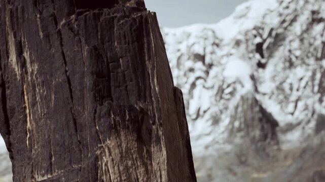 A wooden log stands prominently with distant snow covered mountains in the background. This scene captures the rugged beauty of nature in daylight.