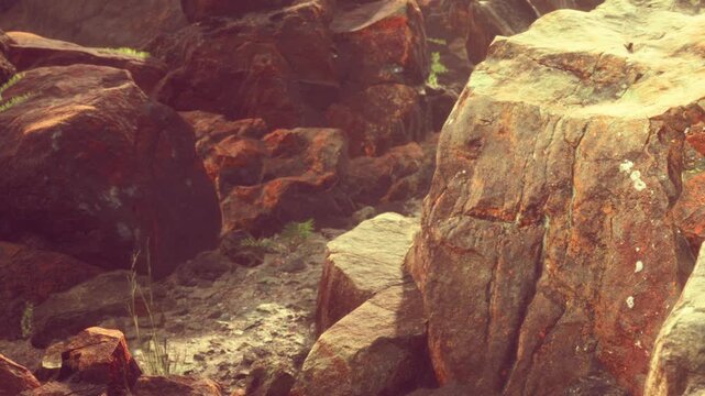 In a natural area, brown rocks are scattered on the ground. A weathered log stands among the stones. Sunlight shines on the scene, highlighting the textures of the wood and rocks.