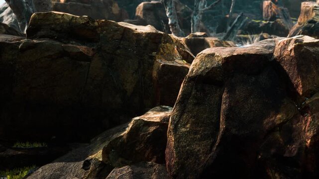 Large rocks are scattered in an outdoor area. Sunlight shines on the stones. The ground shows some grass. Dead trees are visible in the background. The scene appears natural and rugged.