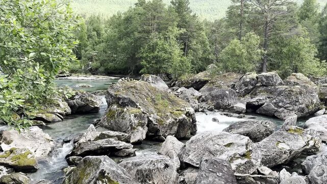 Powerful mountain river rushing through massive granite boulders surrounded by lush forest along the famous Trollstigen scenic route in Norway. Spectacular Scandinavian wilderness with crystal-clear w