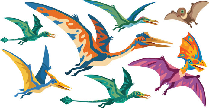 Prehistoric Flying Reptiles and Pterosaurs Dinosaurs Vector Illustration Set Featuring Pteranodon Quetzalcoatlus Rhamphorhynchus Tapejara Dimorphodon and Pterodactyl