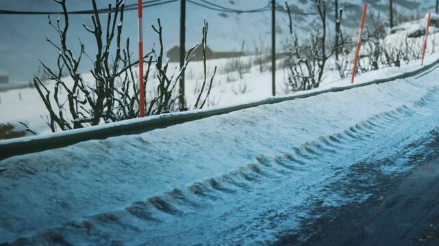 Snow covers the road and nearby trees, showing tire tracks. A house is visible in the background. The sky is cloudy, creating a gray atmosphere.