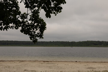 panorama jeziora otoczonego lasem. Na pierwszym planie drzewo przysłaniające kadr od góry © workszop