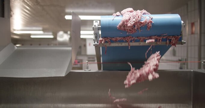 Fresh minced meat falls from a blue conveyor into a bin