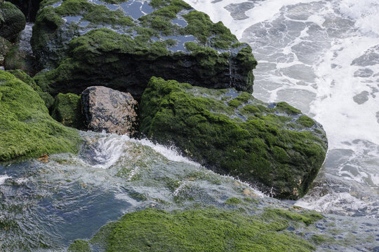 Mossy coastal rocks resisting ocean waves represents endurance and permanence