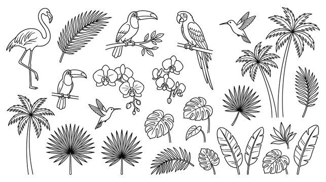 Tropical birds and exotic jungle plants collection set.