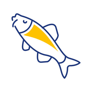 Ide fish icon. Science and freshwater fish line symbol. Color.