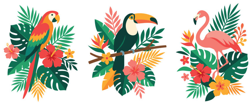 Tropical bird and exotic flower botanical illustrations.