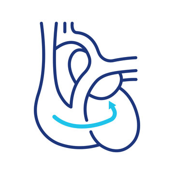 Heart defect icon. Healthcare and cardiology line symbol. Color.
