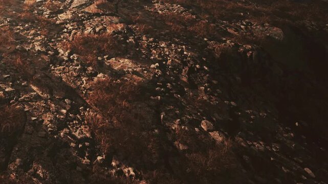 The scene shows a ground covered with rocks and sparse dry grass under warm evening light. Shadows from nearby objects stretch across the terrain adding depth to the view.