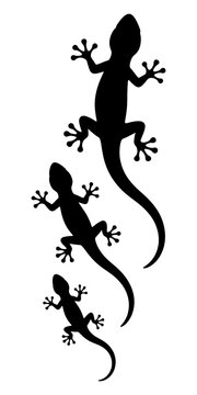 Lizard Silhouette Collection on White Background Reptile Shapes for Design and Illustration