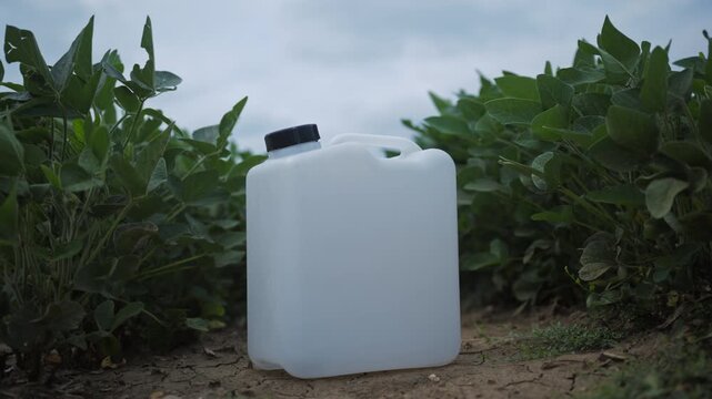 Plastic herbicide canister among healthy soybean plants ready for agricultural treatment. Modern farming, plant care and crop productivity theme. 4K.