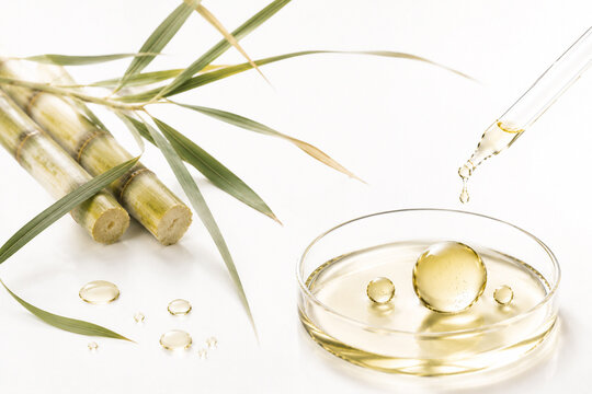 Beauty product image featuring squalane extracted from sugercane