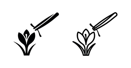 Fototapeta premium Black and white icons of a saffron crocus flower being harvested