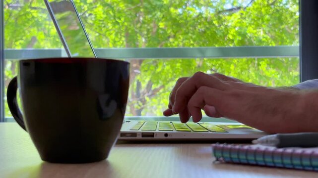A person's hands type on a laptop keyboard at a desk, a black coffee mug nearby. Vibrant green tree leaves are visible through the window in the bright background, creating a productive and pleasant r