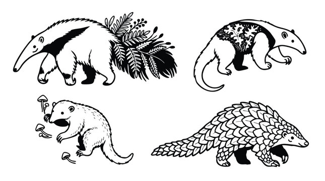 Hand Drawn Anteater and Pangolin Vector Illustration Set