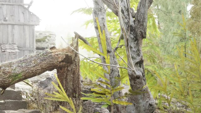 Fog surrounds a forest area with trees and leaves. A weathered cabin is partially visible among the greenery. The scene captures the natural environment with muted colors.