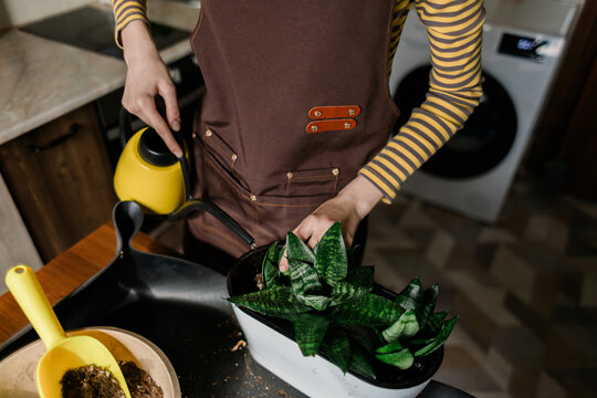 Teenage girl watering houseplant in kitchen sink at home