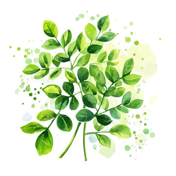 Moringa watercolor painting, semi-realistic fantasy artwork, realistic details with magical touch, white background