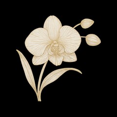Obraz premium Elegant golden orchid illustration