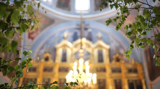 Birch branches framing Orthodox church interior, celebrating Pentecost and Trinity Sunday