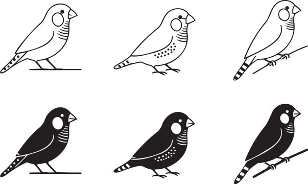 Black and white zebra finch bird vector icons set line art finch bird outline illustration animal symbol collection design