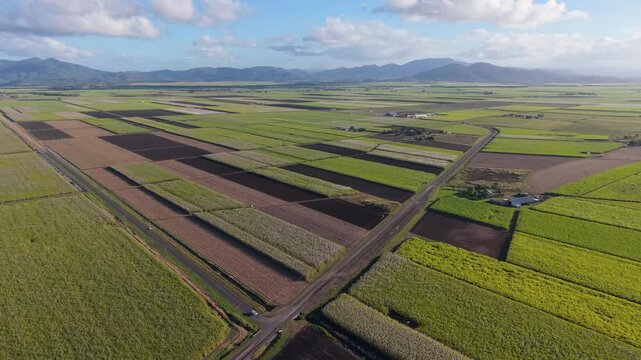 Aerial View of Rolling Green Farmland at Sunrise