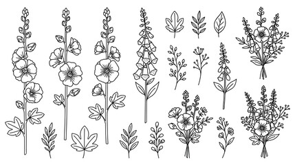 Flowers and botanical elements line art. © Ojufa