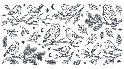 Winter birds and owls collection with nature elements. © Ojufa