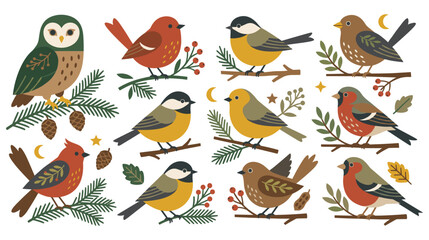 Winter birds on branches with pine needles and berries. © Ojufa