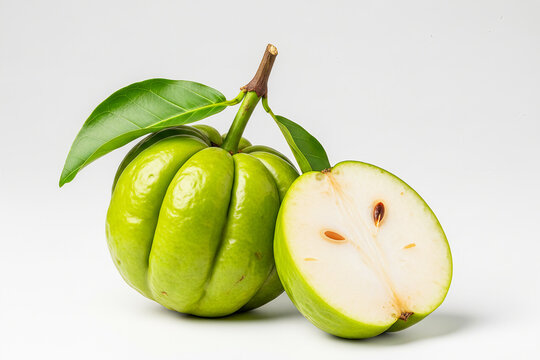 Fresh green Garcinia cambogia fruit with cross section on white
