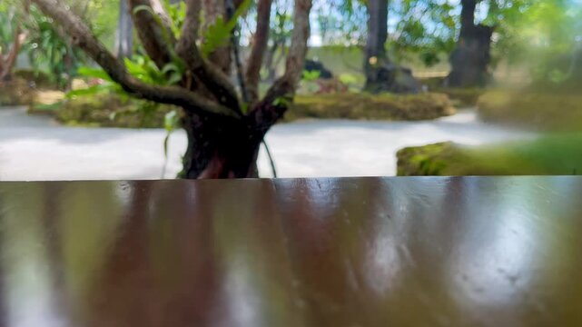 Wooden table in garden nature background