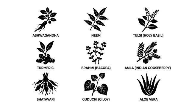 Herbal plants and leaves collection.