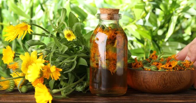 Woman putting flowers and calendula oil in glass bottle at wooden table outdoors, closeup