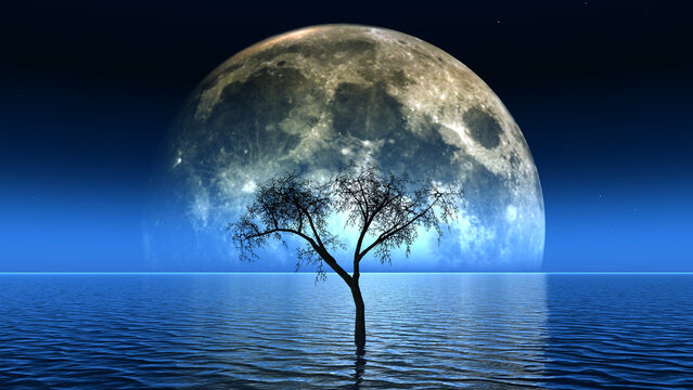 3D dead tree in see with moon in sky