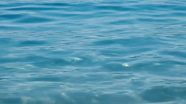 A serene view of gentle blue water ripples flowing across the surface of a calm lake