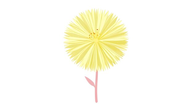 Premium vector illustration of a single Mimosa pudica flower with a soft pale yellow bloom and elegant pink stem. Transparent background, clean botanical design, perfect for branding, packaging, print