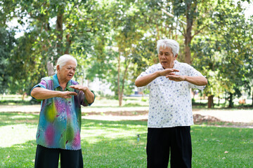 Obraz premium Happy Asian senior couple practicing Tai Chi exercise in green park. Beautiful elderly women and man smiling, enjoying retirement lifestyle, healthy active aging and wellness concept.