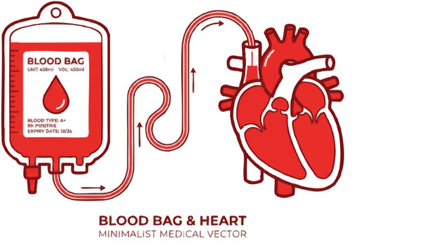 Blood transfusion bag connected to human heart. Medical donation vector illustration of circulatory system and life-saving procedure.