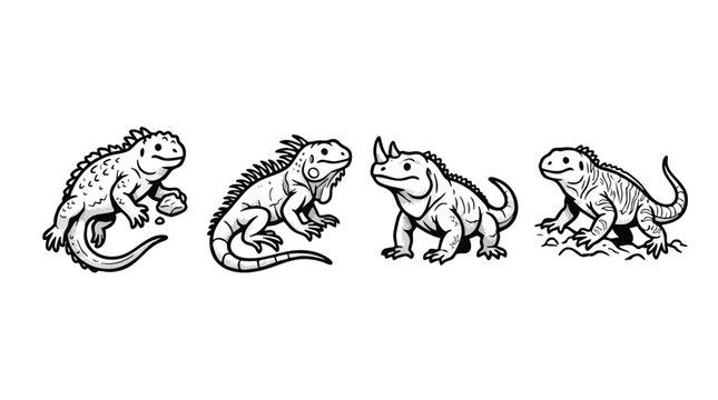 Hand drawn iguana and lizard line art vector collection