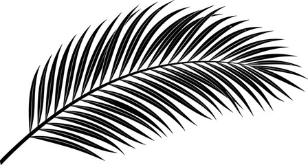 Tropical palm leaf silhouette black frond branch vector illustration isolated on white background for exotic summer beach or safari graphic design. © MstBizly