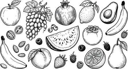 Hand drawn fresh organic fruits collection set with apple grapes watermelon banana orange and berries vintage sketch style vector illustration. © MstBizly