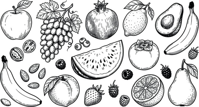 Hand drawn fresh organic fruits collection set with apple grapes watermelon banana orange and berries vintage sketch style vector illustration.