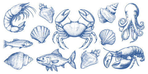 Obraz premium Vintage marine life illustrations vector element set