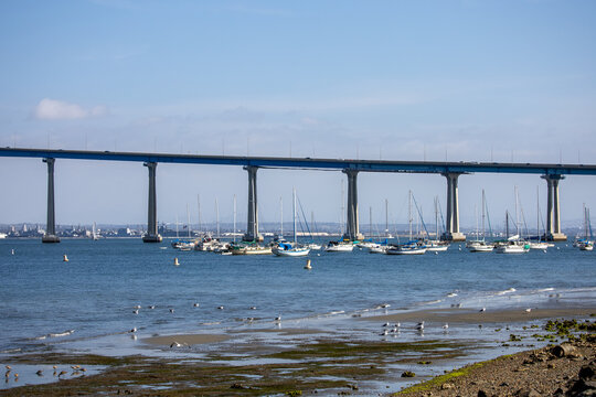 Sailboats anchored by the Coronado Bay Bridge.