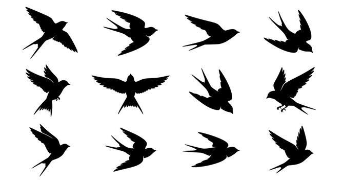 Modern swallow bird silhouette collection with realistic flying poses and isolated black shapes vector set
