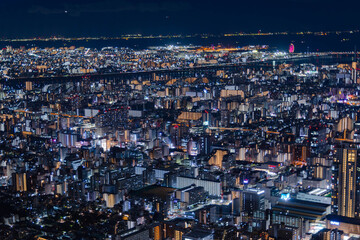 東京スカイツリー © apple
